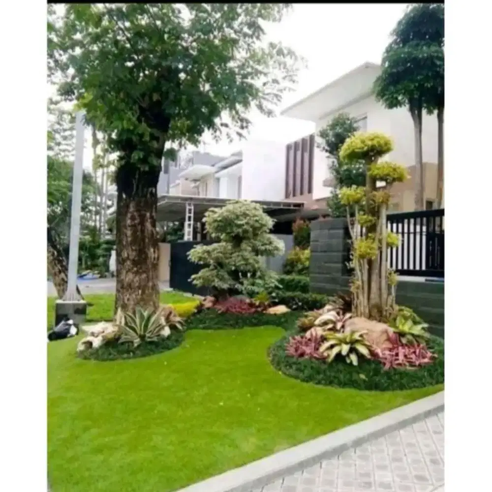 Taman rumput jepang
