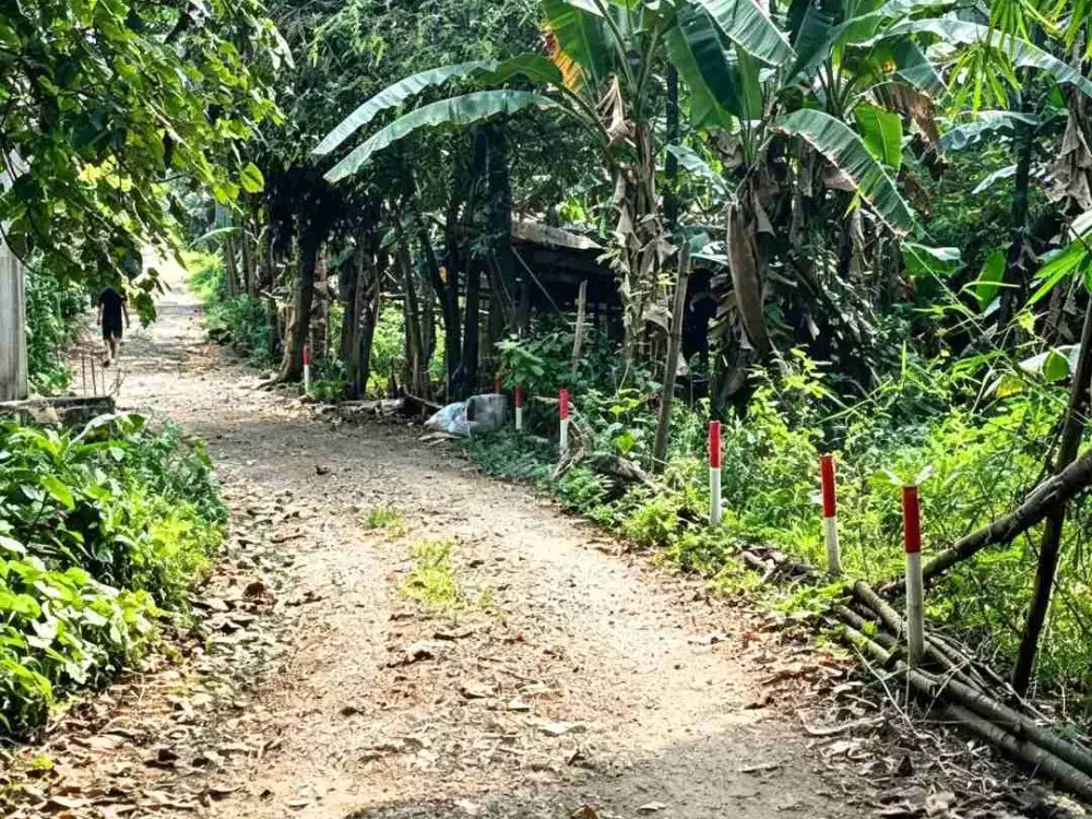 ANAH LUAS 17,35 HA DI LEUWILIANG BOGOR — 35% DI BAWAH NJOP!