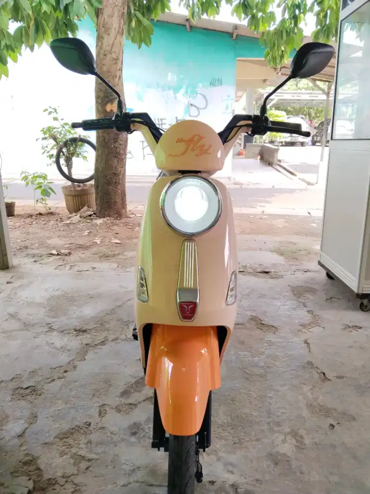 Sepeda listrik uwinfly T60