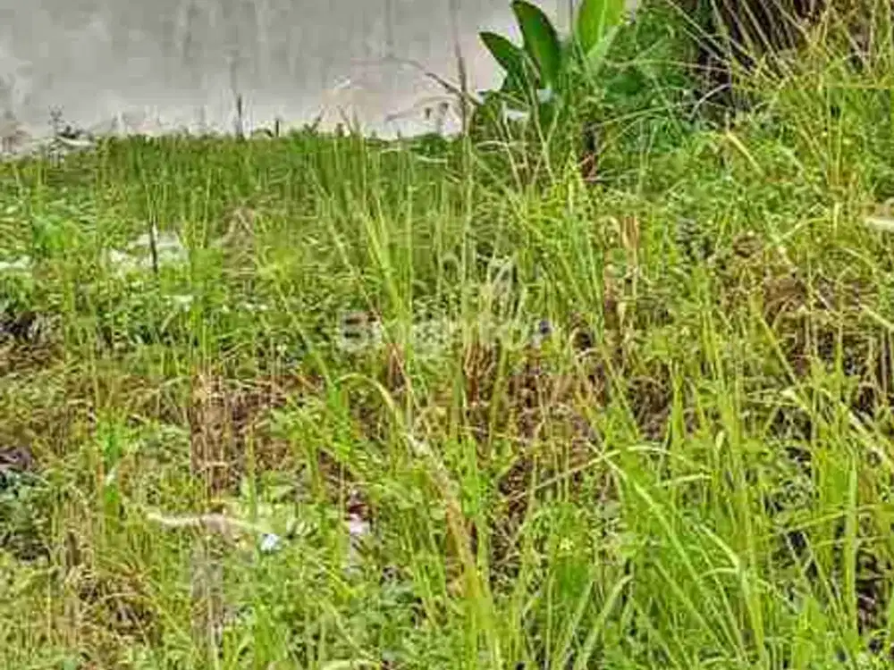 Dijual Tanah Strategis di Pinggir Jalan Raya Bomang Bojong Gede Bogor