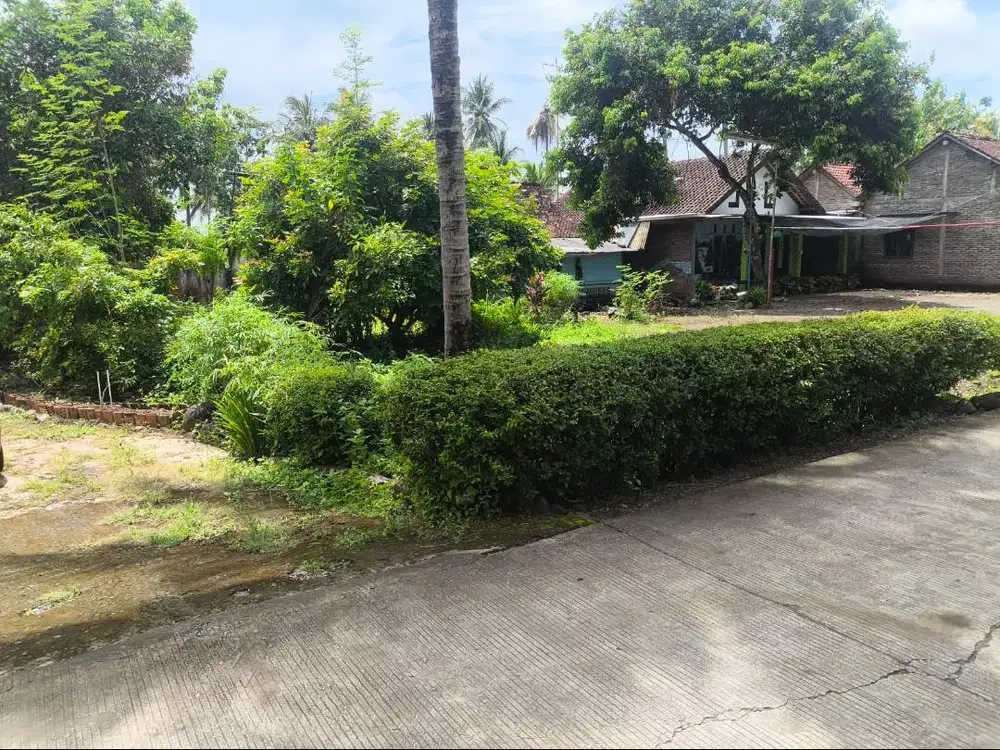 Dijual Tanah SHM 451 m² Cengkawakrejo Banyuurip Purworejo