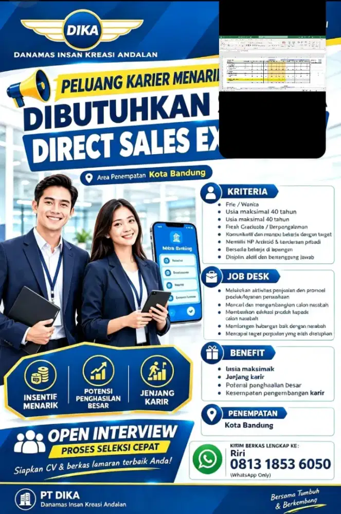 DIRECT SALES EXECUTIVE