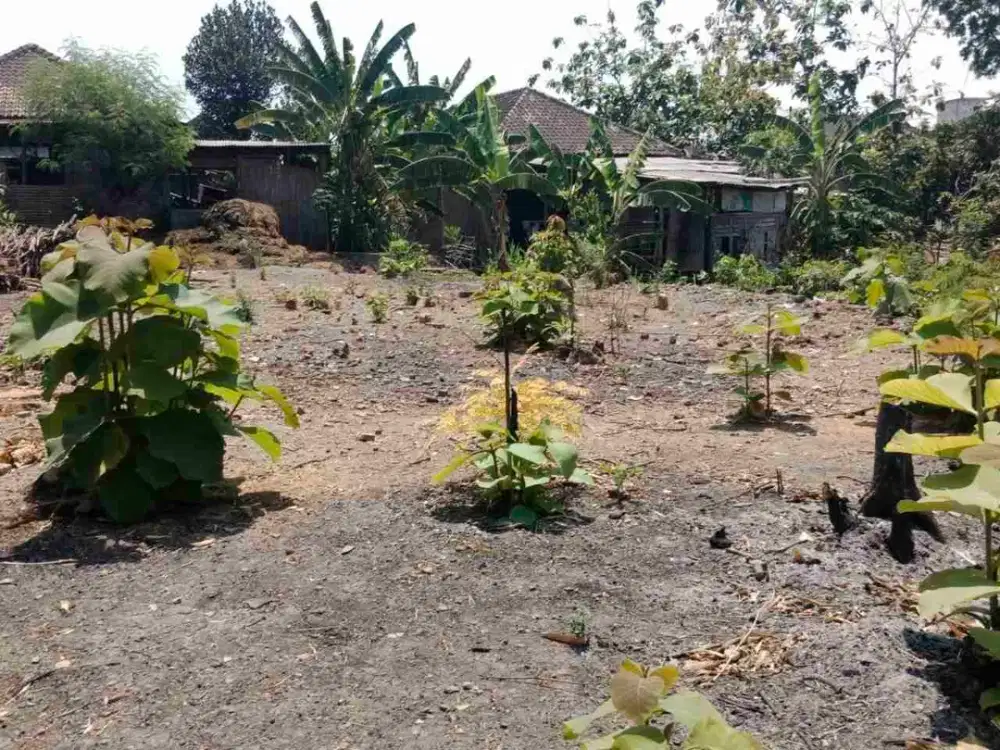 Tanah Pekarangan Murah Jatisobo Dekat Semanggi