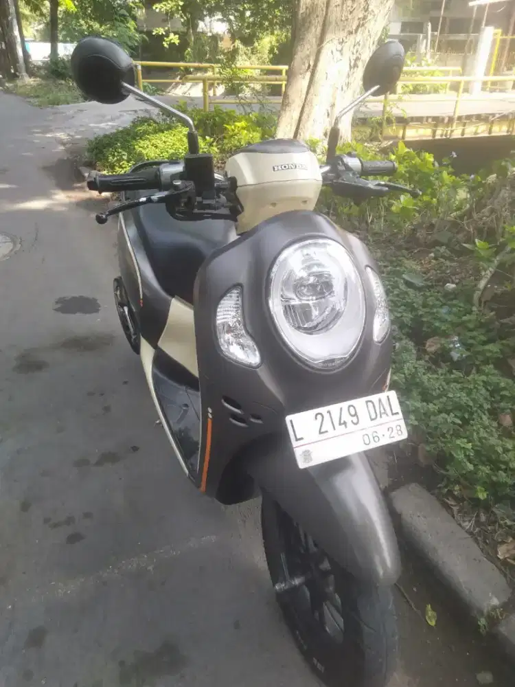 Scoopy thn 2923
