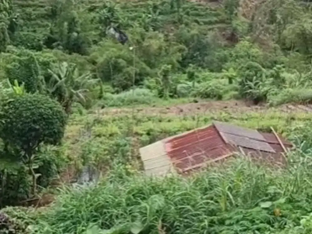 Dijual Tanah di Bedugul Dekat dengan Kawasan Industri