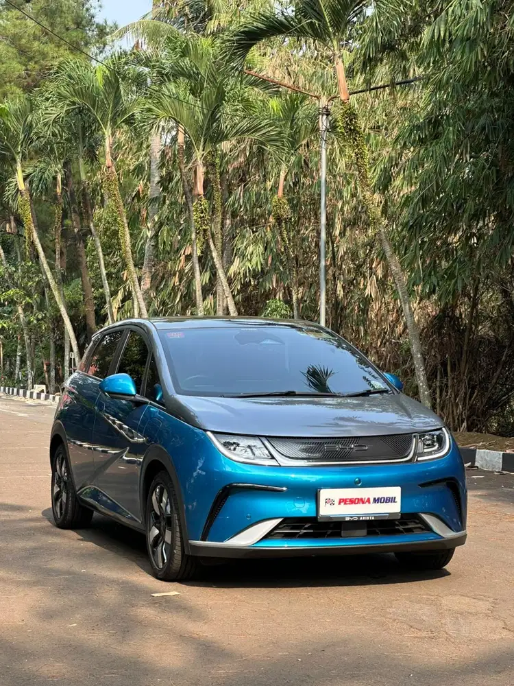 BYD Dolphin Premium 2024