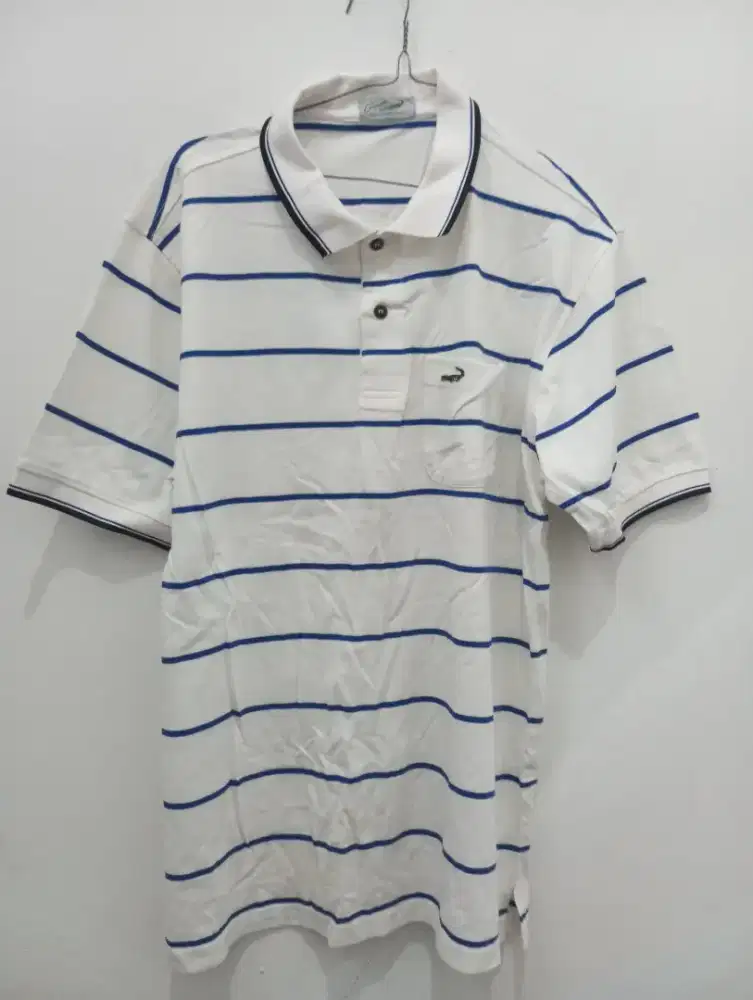 Kaos crocodile second