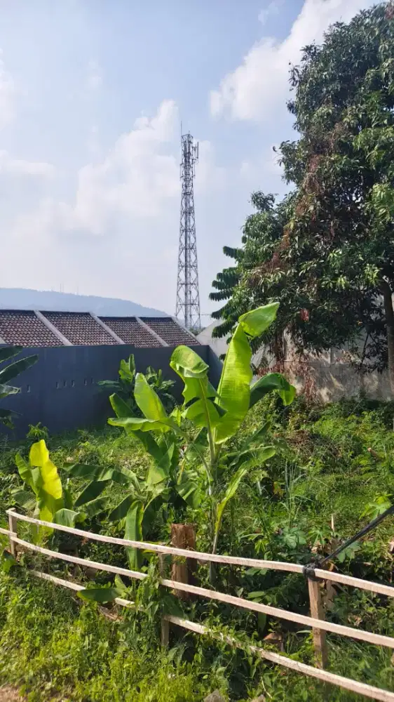 JUAL CEPAT Tanah di Kedamaian