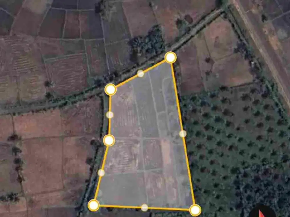 Jual Cepat Sawah Blang Bintang