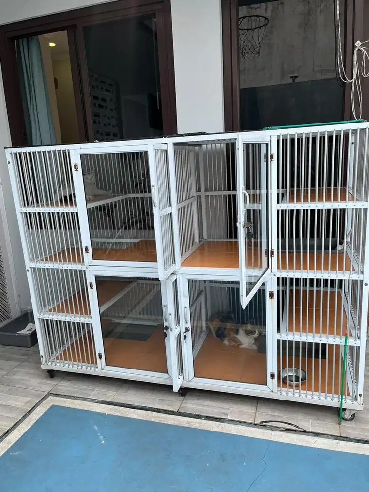 Kandang kucing peliona