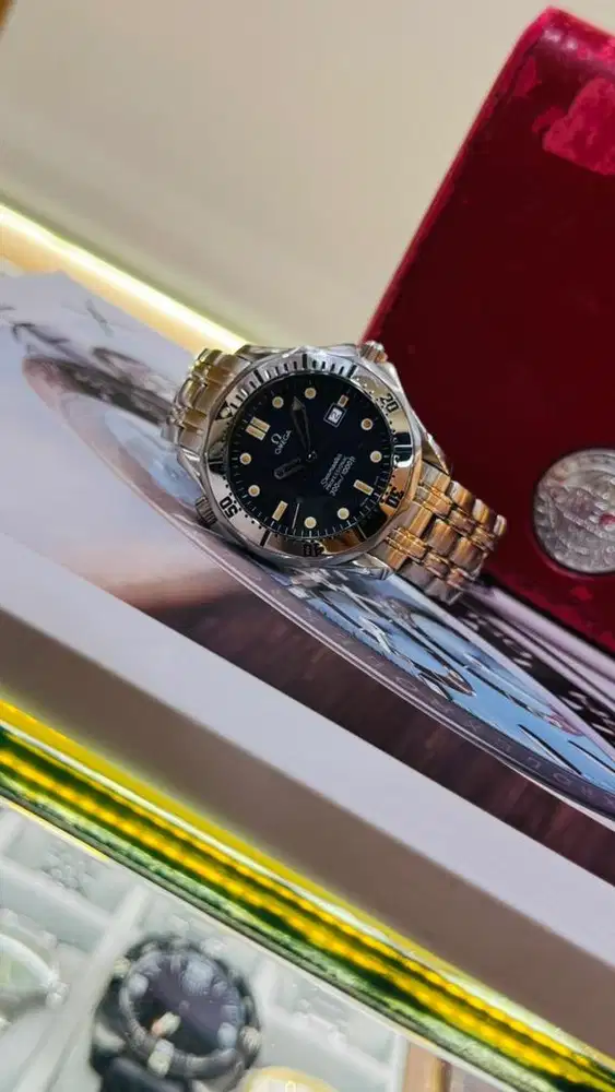Omega Seamaster Professional