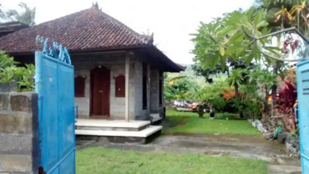Di jual Tanah bonus bangunan dekat ke pantai  Lovina