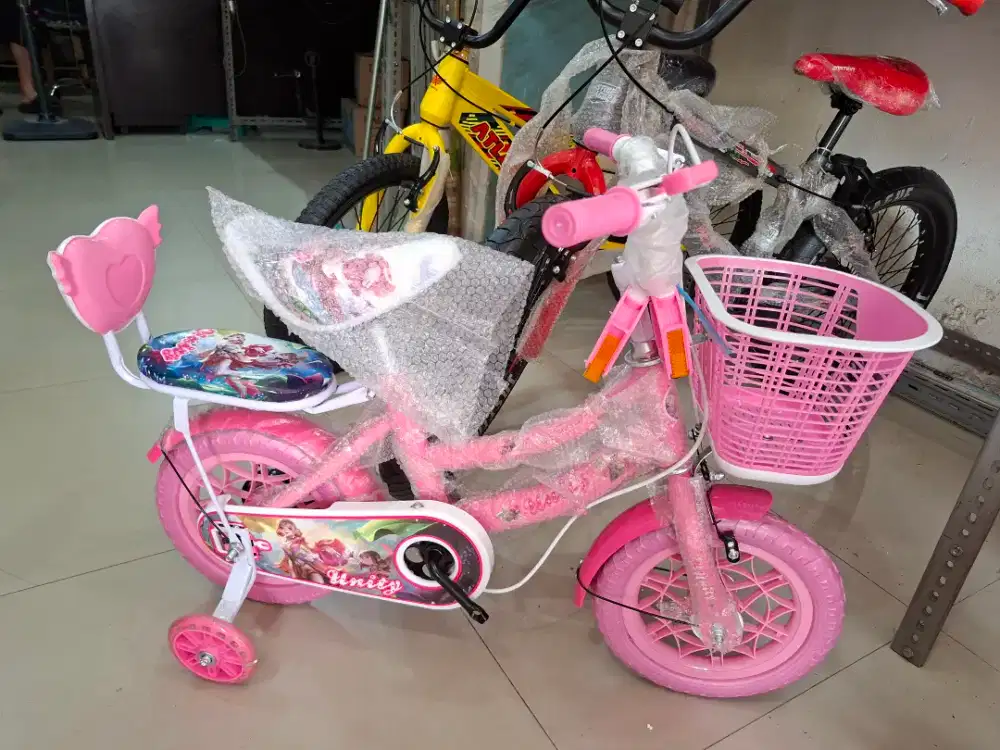 Sepeda Anak Perempuan Sepeda Mini CTB 12 Inch UNITY