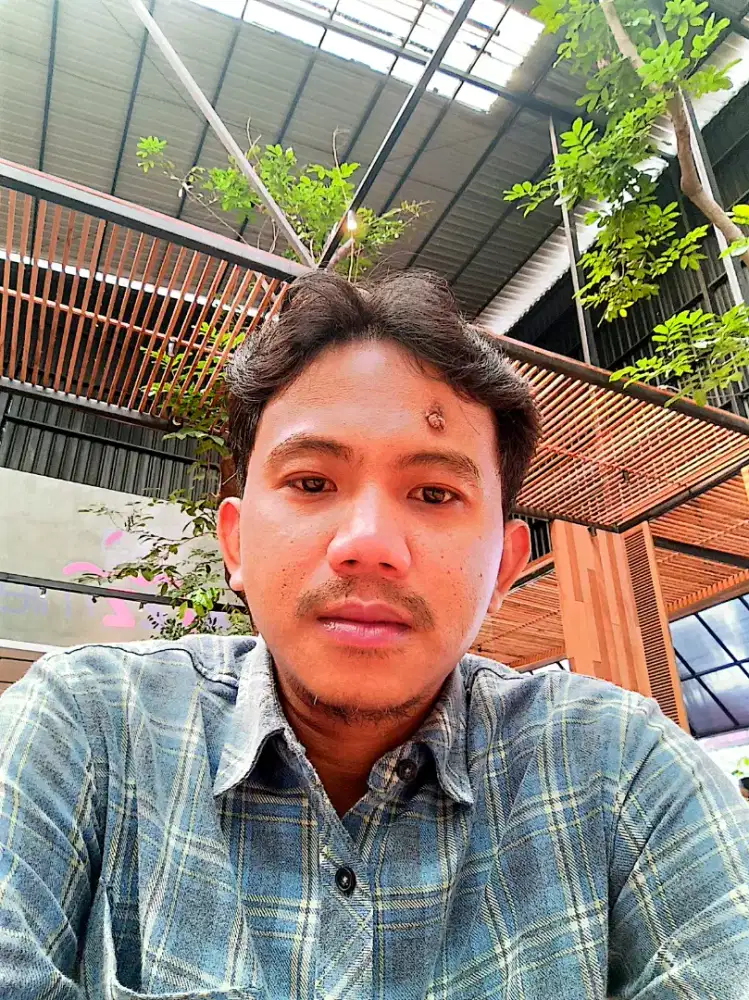 Supir pribadi atau perorangan