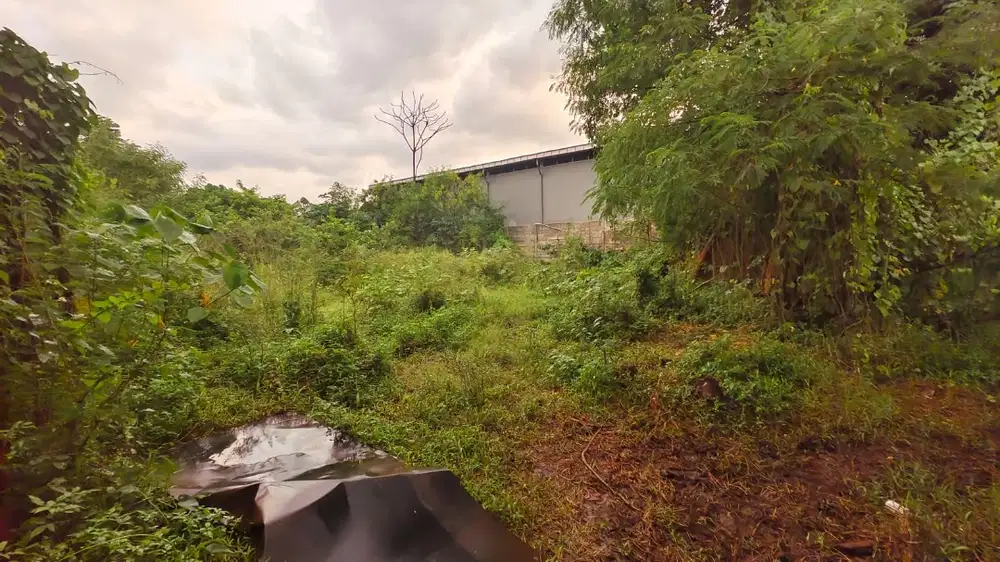 Disewakan tanah kosong, rata 1000 m2, cocok untuk usaha/gudang