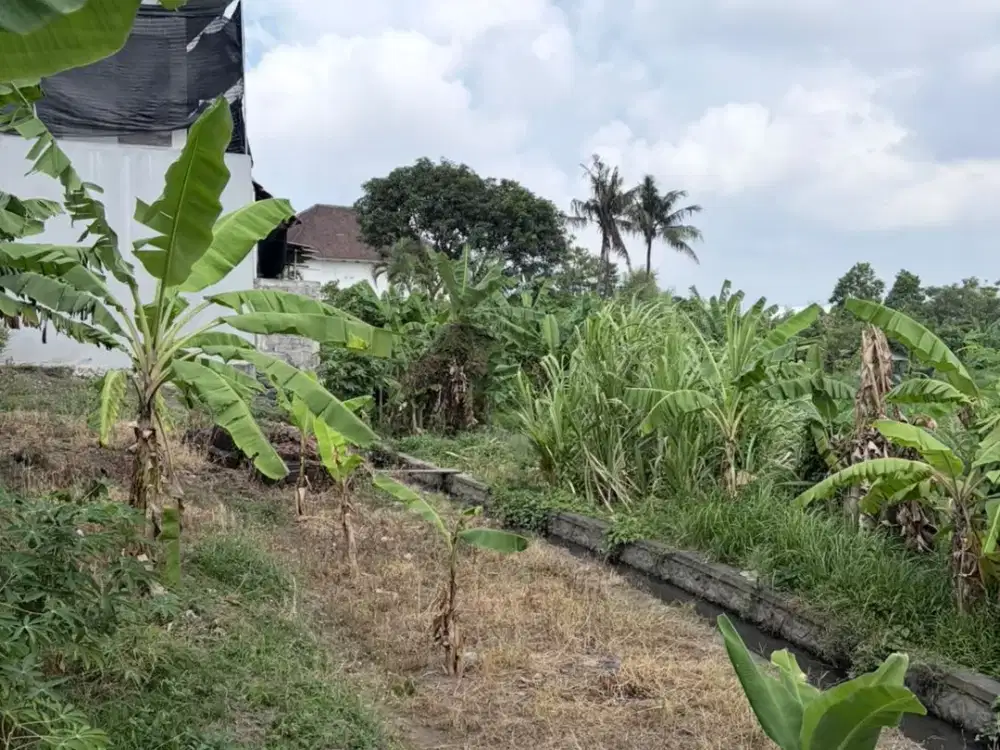 DIJUAL TANAH – PADONAN, DALUNG