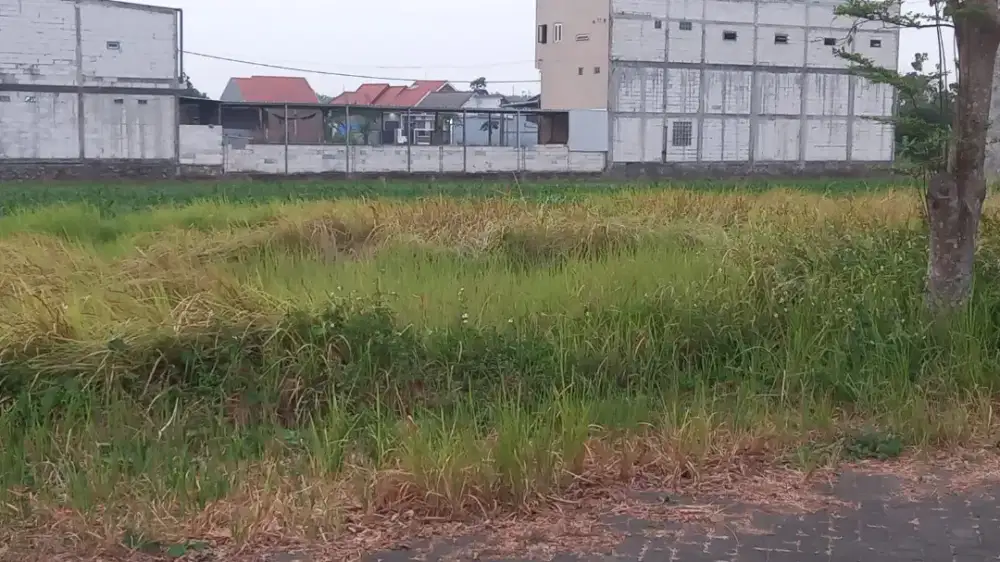 Tanah 121 meter di Griya Japan raya