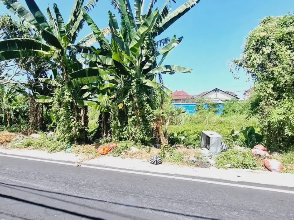DIJUAL TANAH STRATEGIS – DEWI MADRI, RENON