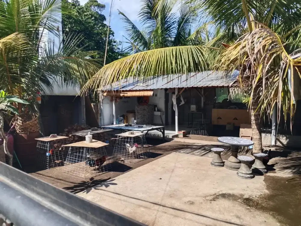 TANAH KOSONG MURAH DI KELATING TABANAN DEKAT PANTAI