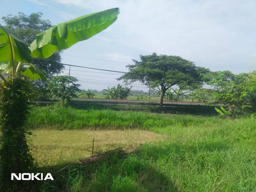 Dijual Tanah di Jalan Raya Pantura Pasuruan Probolinggo Row Jalan Lebar