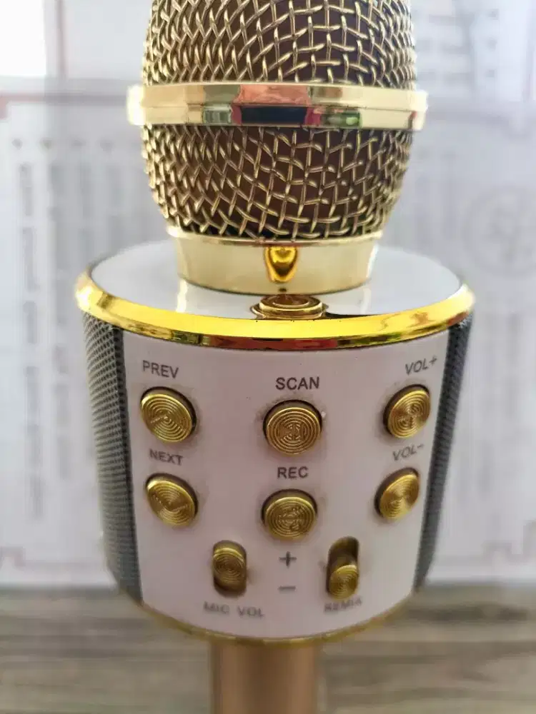Mic MP3 karaoke anak