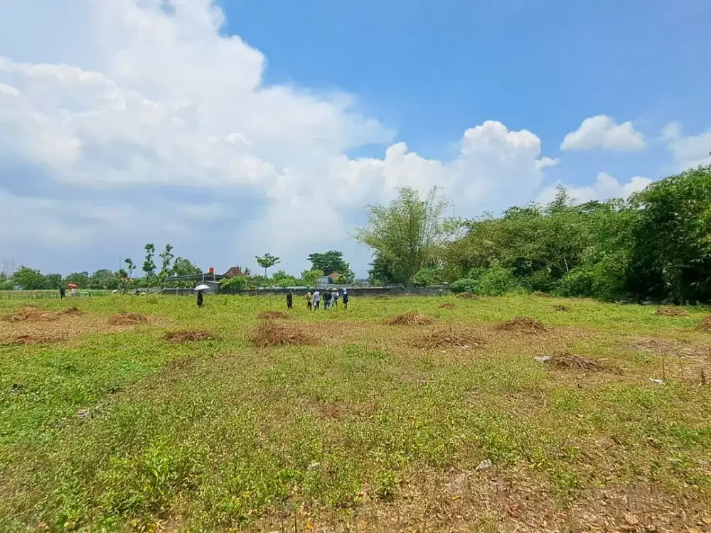 Dijual Tanah Sleman Area Purwomartani Bisa Cicilan Tanpa Bunga