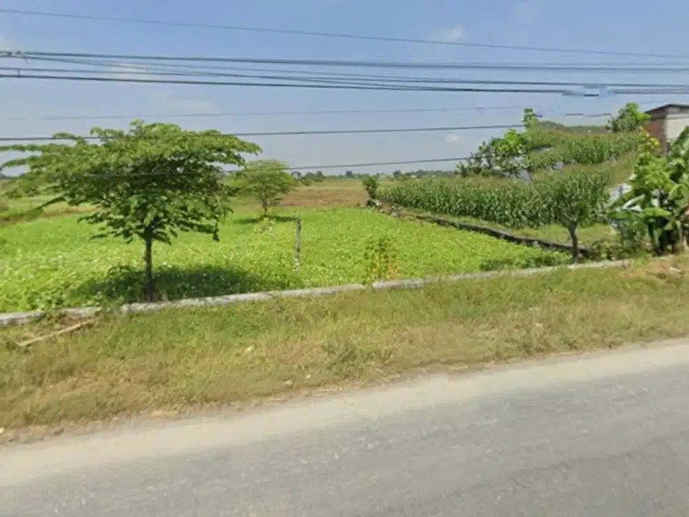 2135 Jual Tanah Siap Bangun Nol Jalan Raya di Gresik Balongpangang