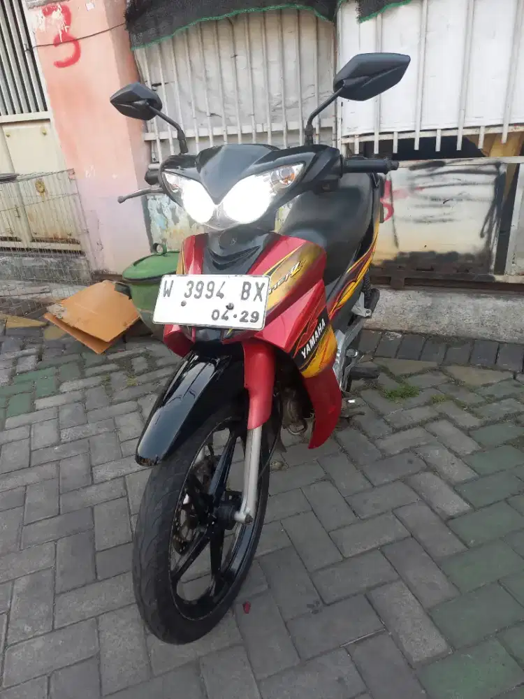 Jupiter z 2009 burung hantu