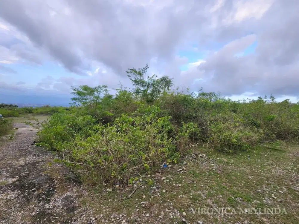 TANAH FULL OCEAN VIEW DIJUAL – JIMBARAN.