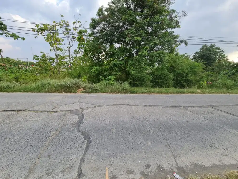 Tanah Pekarangan Siap Bangun di Plesungan, Gondangrejo Solo