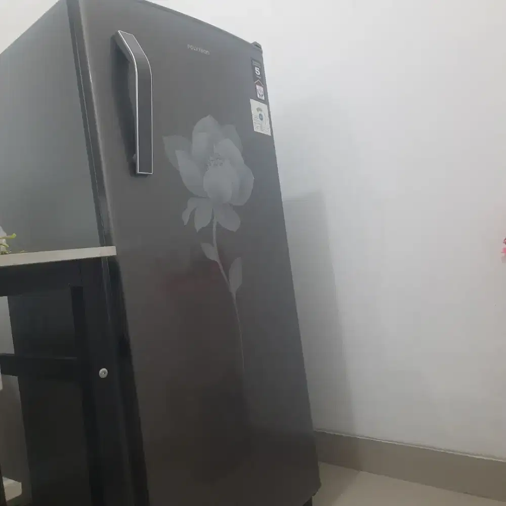 Kulkas Polytron 1 pintu