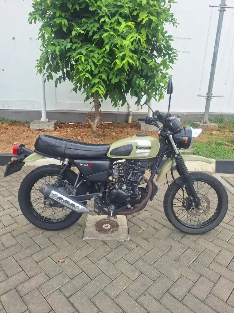 Kawasaki W175 TR Green Olive 2021