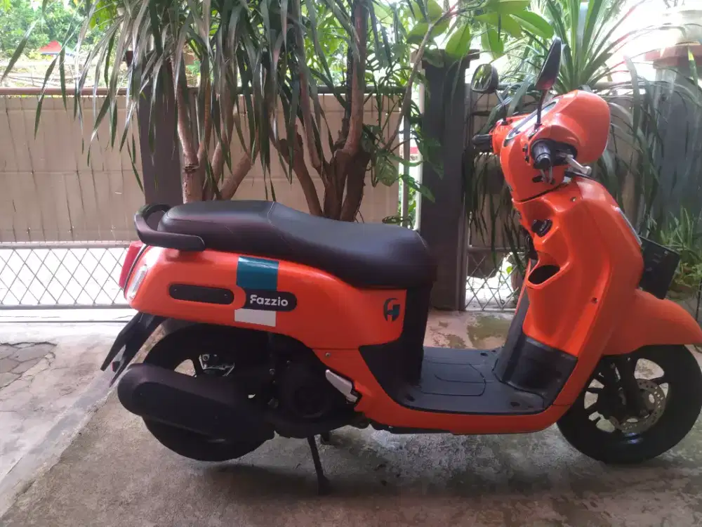 Fazzio  Neo Hybrid Oranges 2023