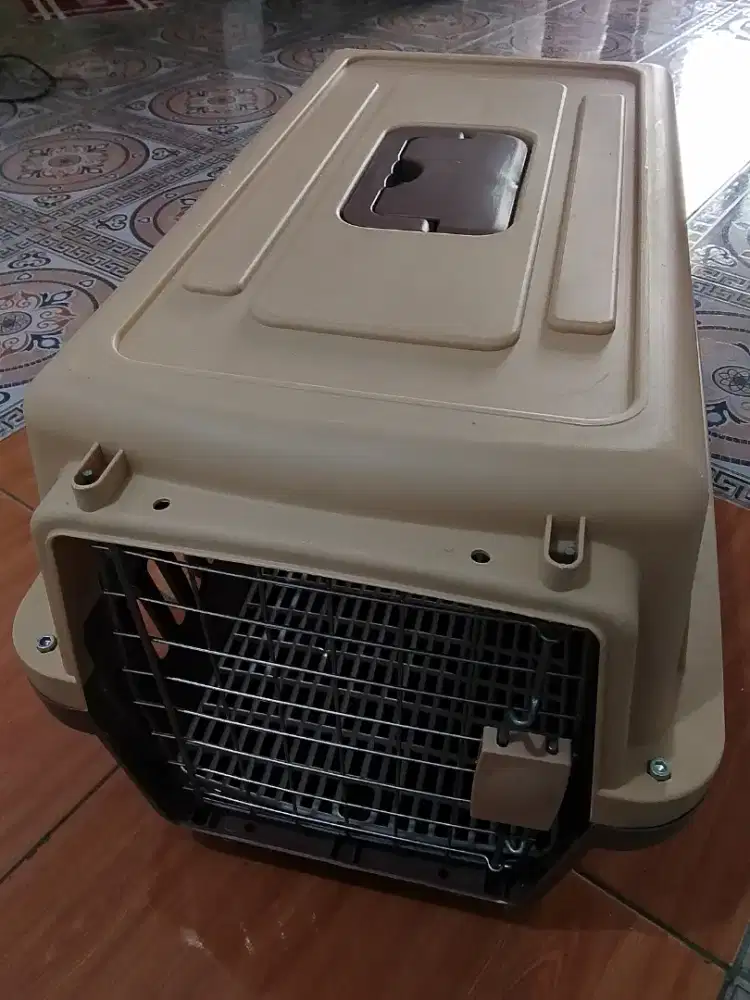 Pet Cargo Kucing