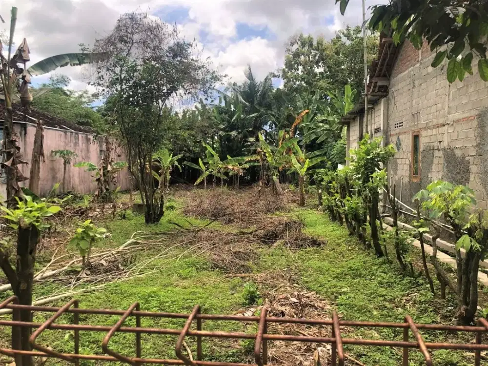 Tanah Murah Lahan Luas Dekat UNY Wates Kulon Progo