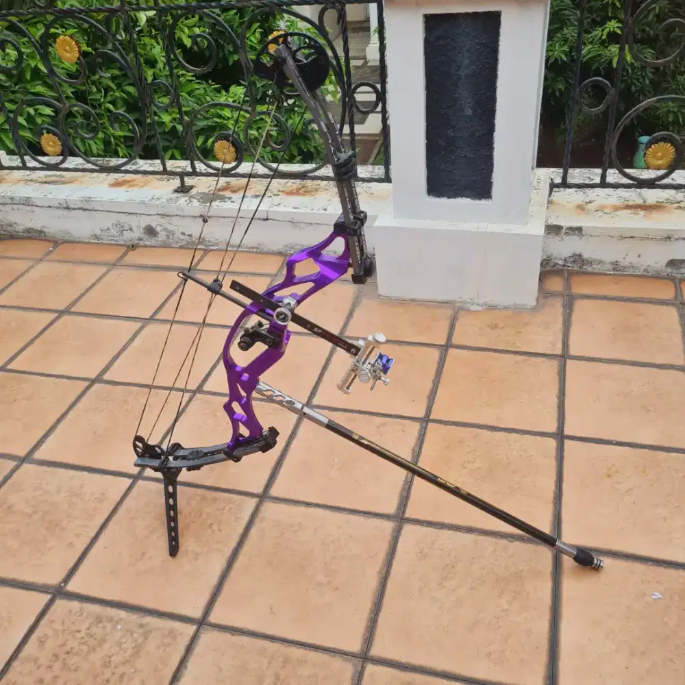 Hoyt Freestyle 2014 Purple Full Set Compound Bow – Target Archery