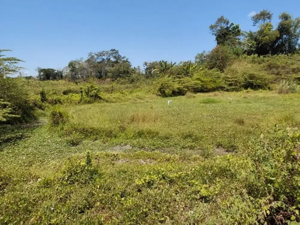 Dijual Tanah Kebun Murah di Tambang Banyuwangi