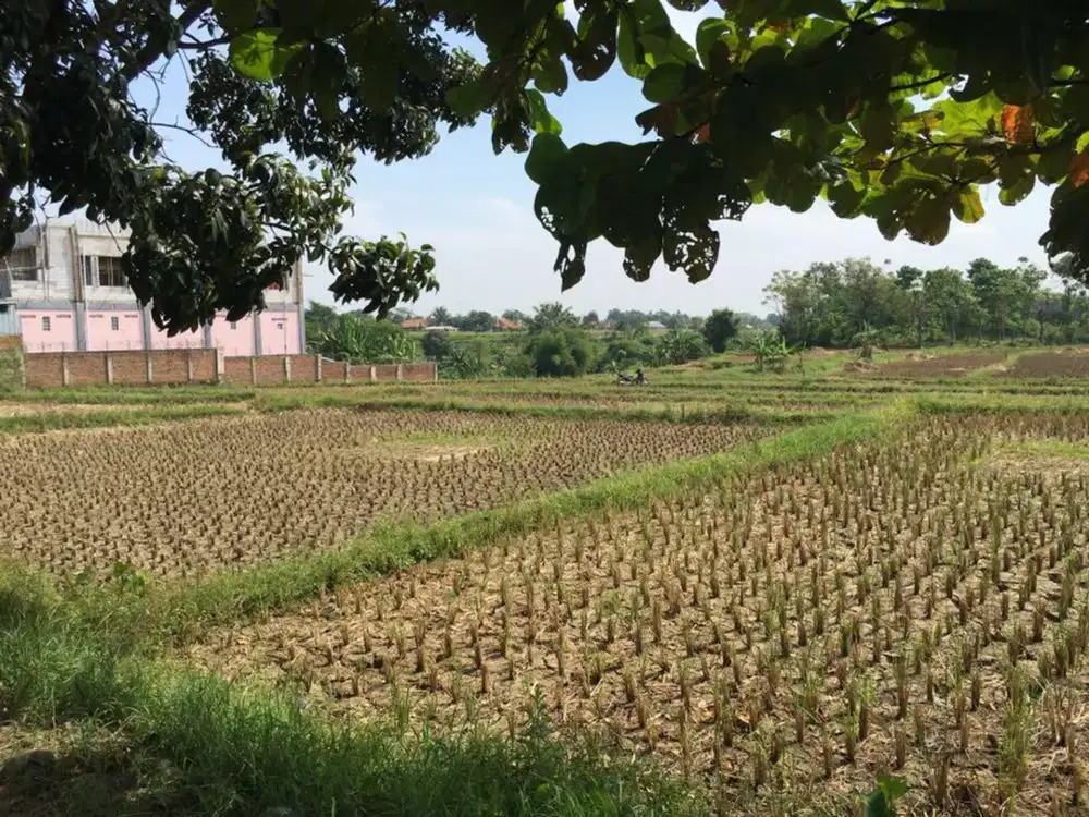 Lahan Komersil seluas 13.025m2 di Jl Raya Jonggol Cariu