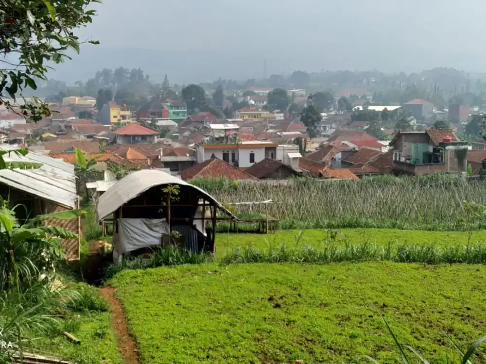 Dijual CEPAT Lahan Seluas 10.620 di Lembang Bandung