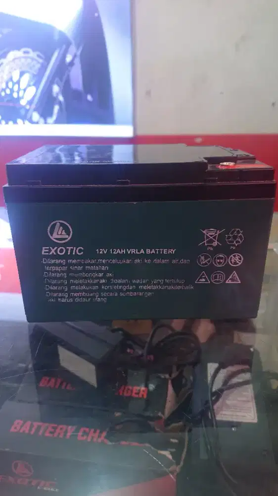ACCU EXOTIC 12V 12AH 6-FMD-12