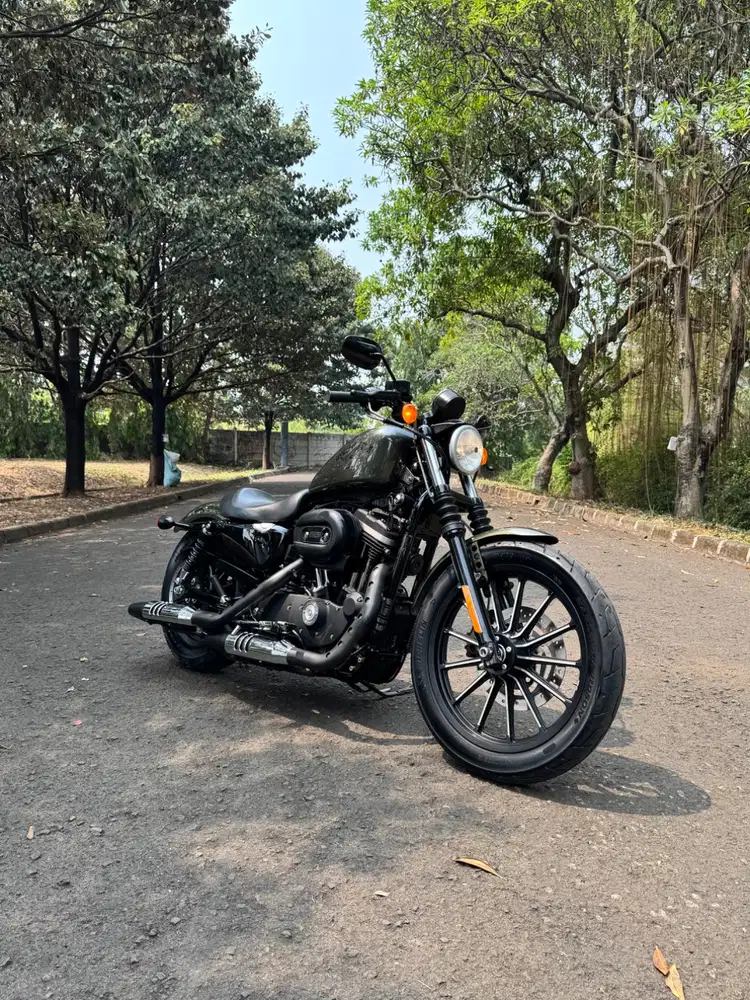 Harley Davidson Sportster Iron 883 2016