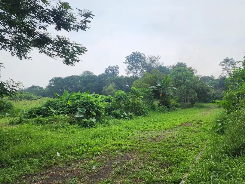 Tanah siap bangun di Narogong