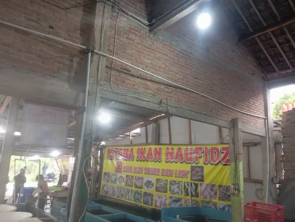 Jual ikan segar ikan laut