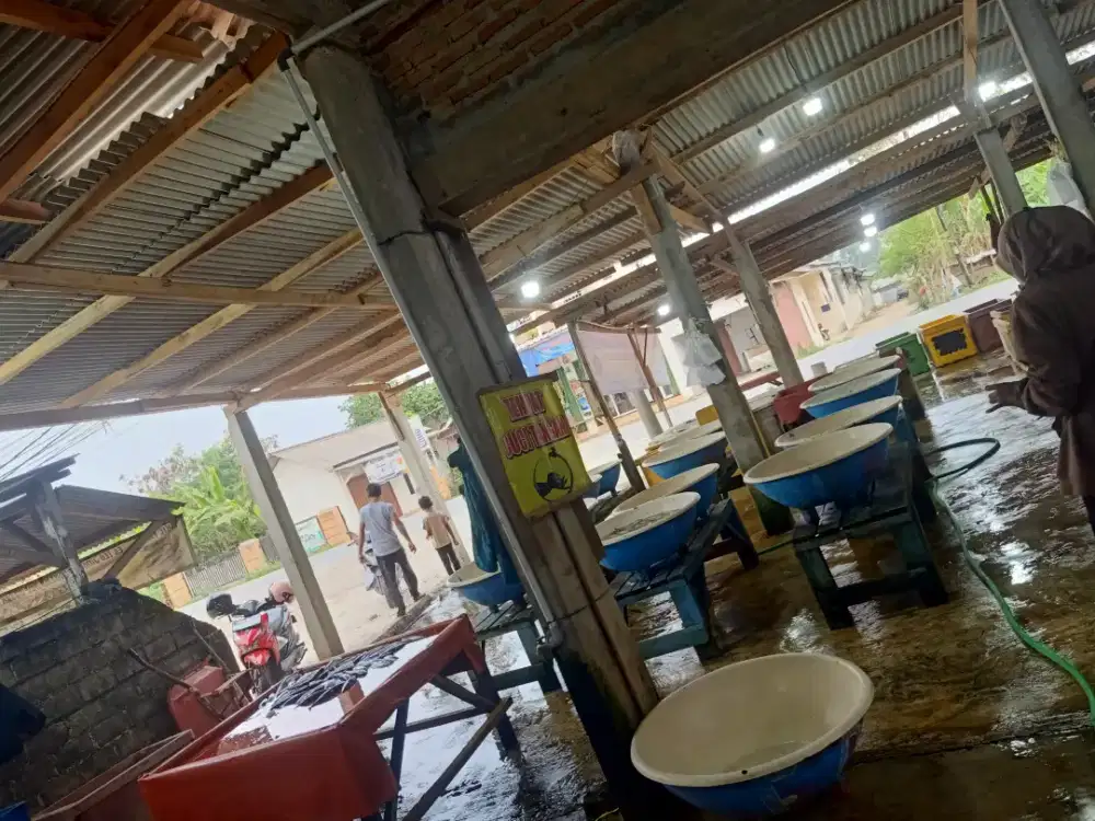 Istana ikan naufidz.jual ikan laut tawar