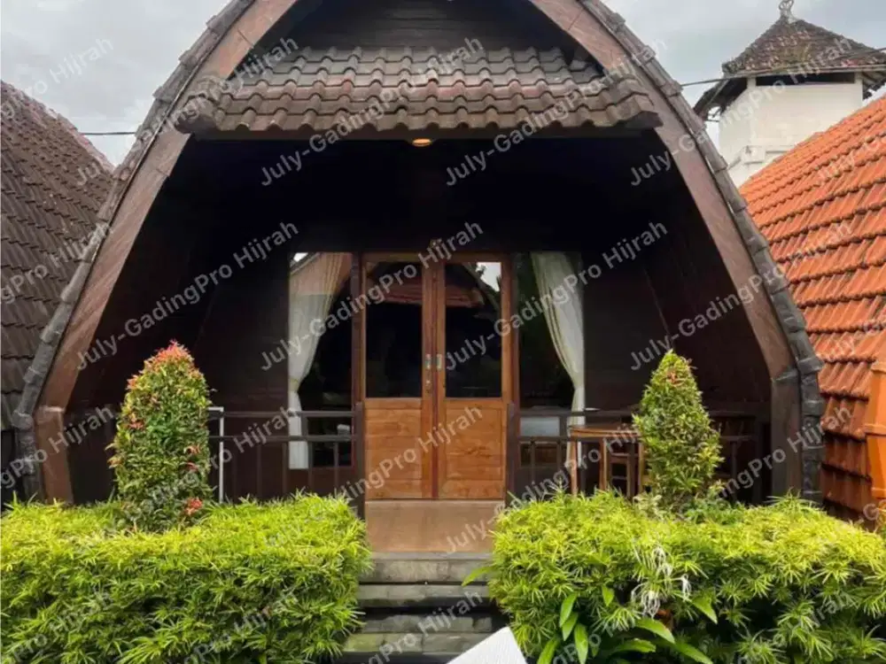 Disewakan Guest House Di Canggu