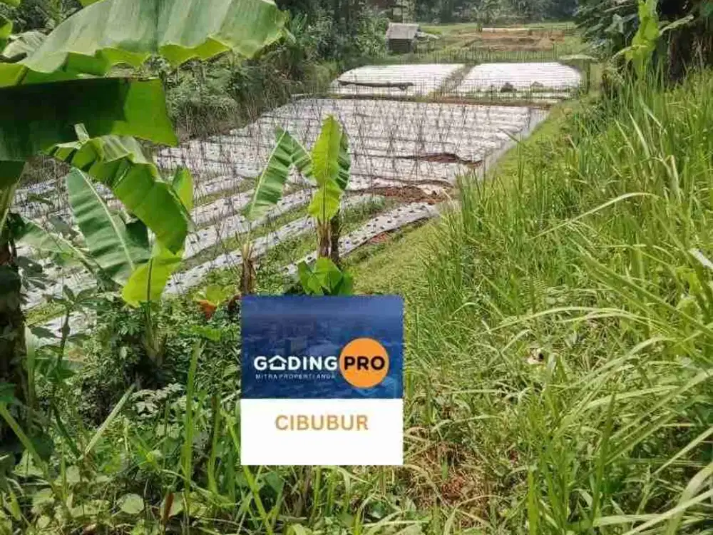 Tanah siap bangun, cocok untuk peternakan, pertanian di Pamijahan - Bogor