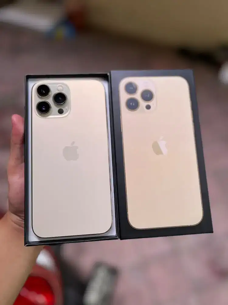 iPhone 13 pro max 256 inter