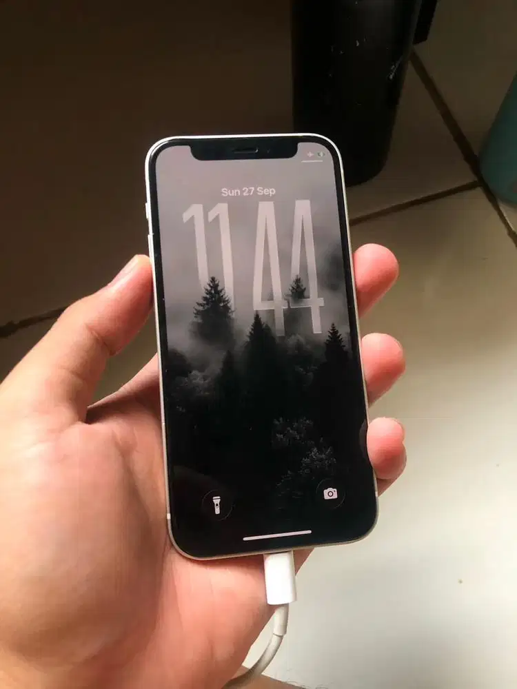 iPhone 12 mini 256 GB