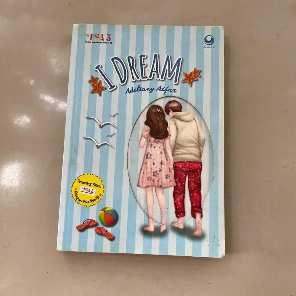 Captains romance dan i dream