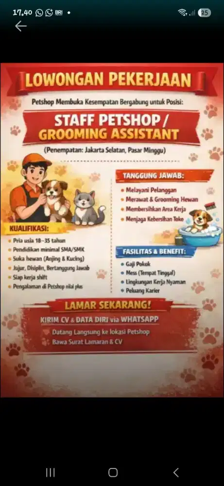 DIBUTUHKAN SEGERA PENJAGA PETSHOP JAKSEL